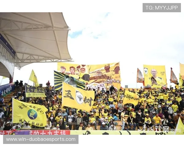 青海球星足球引领高原激情发展推动地方体育事业全面升级